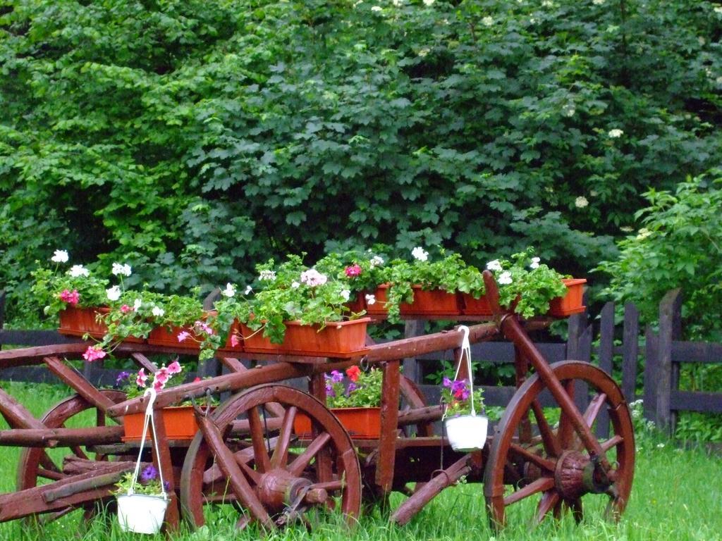 Pensiunea Mihaela Poiana Brasov Phòng bức ảnh