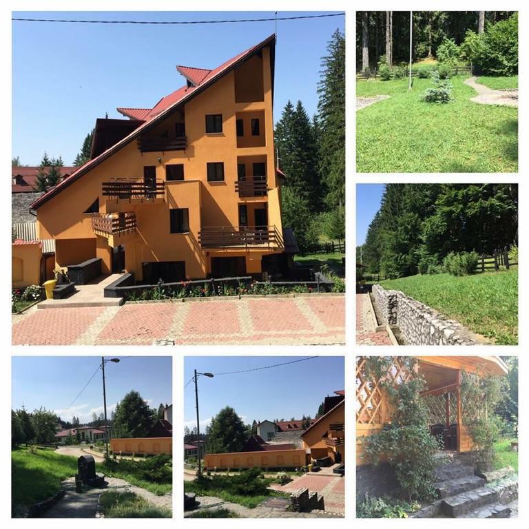 Pensiunea Mihaela Poiana Brasov Ngoại thất bức ảnh