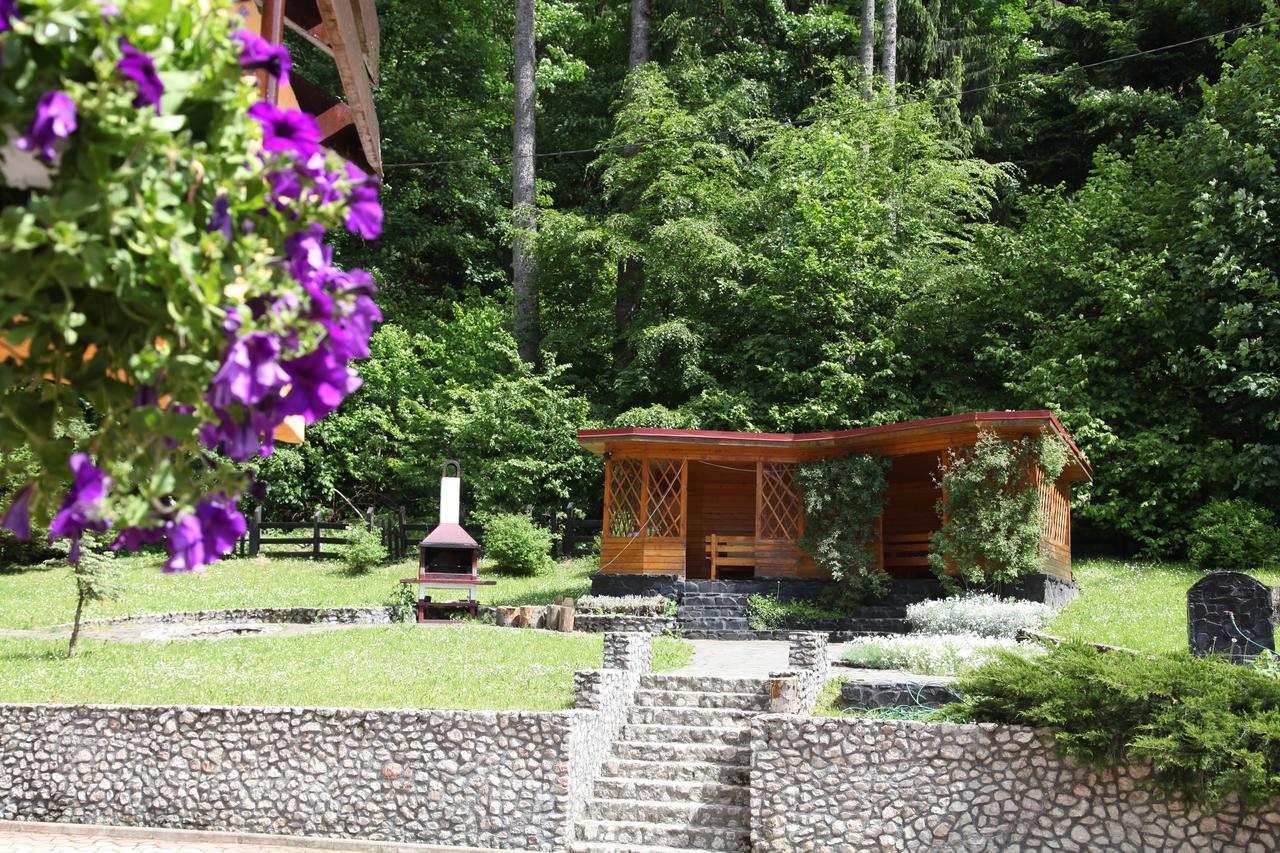 Pensiunea Mihaela Poiana Brasov Ngoại thất bức ảnh