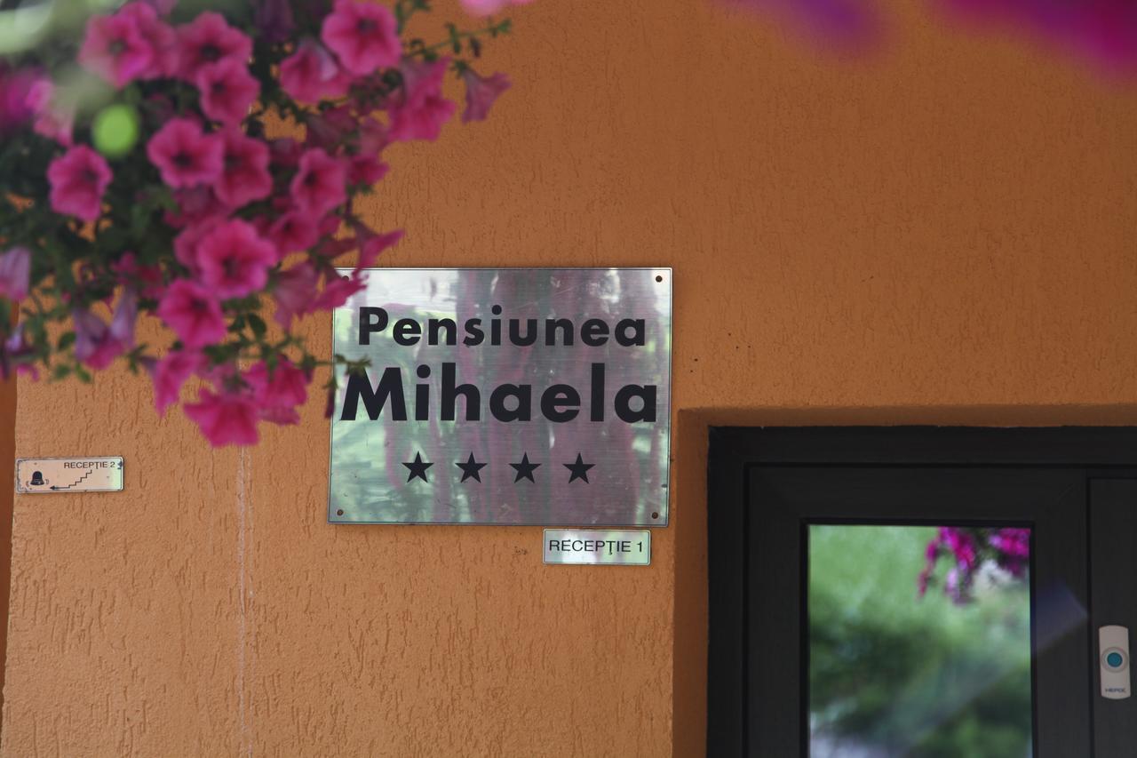 Pensiunea Mihaela Poiana Brasov Ngoại thất bức ảnh
