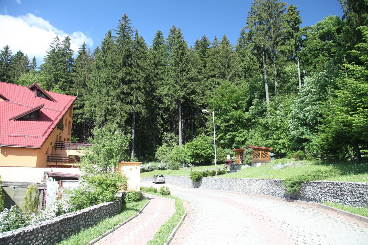 Pensiunea Mihaela Poiana Brasov Ngoại thất bức ảnh